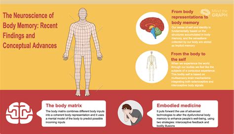 The neuroscience of body memory: Recent findings and .